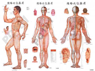 Shiatsu : Phoenix massage