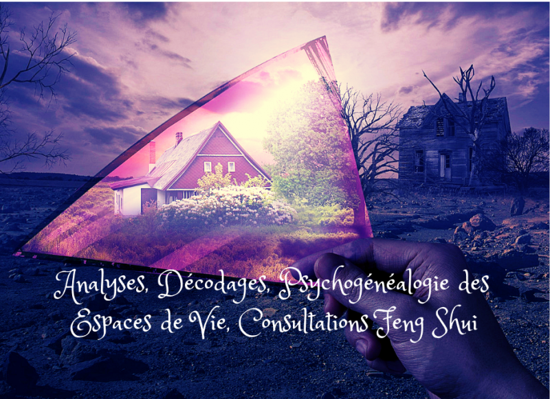 Feng Shui : Analyses, Décryptages, Psychogénéalogie des Espaces de Vie, Consultations Feng Shui