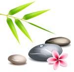 Massage aux Pierres Chaudes : Formation en massage aux pierres